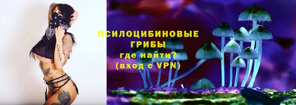 бутират Богородицк