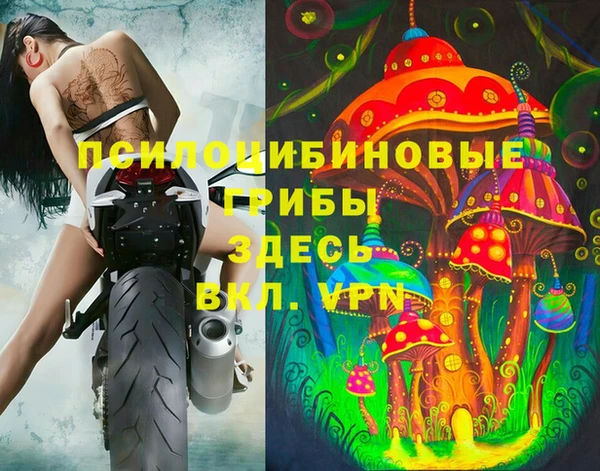 кокс Богородск